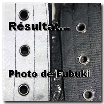 Pince pour pressions & Pince pour oeillets.