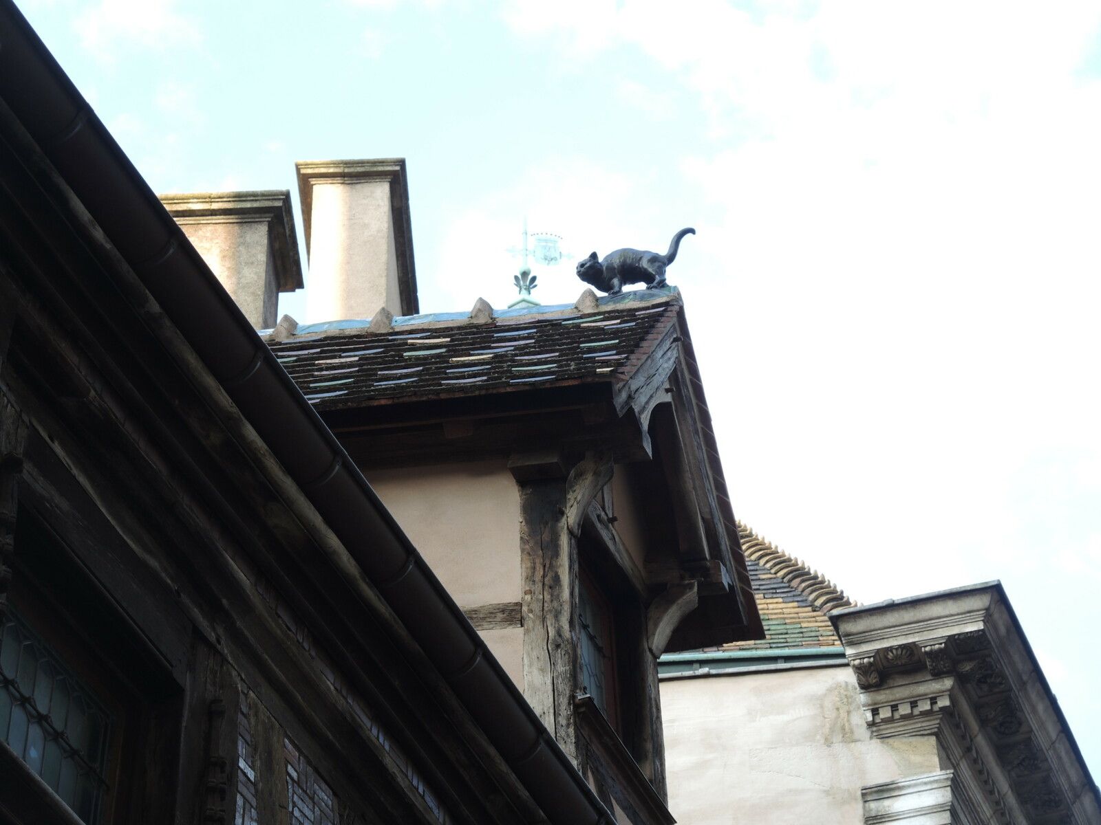 Dijon, rue de la Chouette, le chat (21)