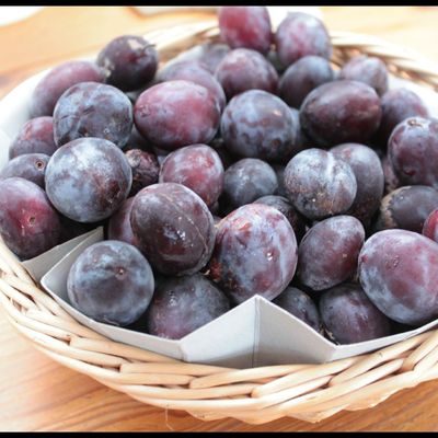 La fin de l'été - Tarte rustique aux prunes, mûres et framboises