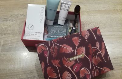 Présentation de la birchbox Novembre 2018