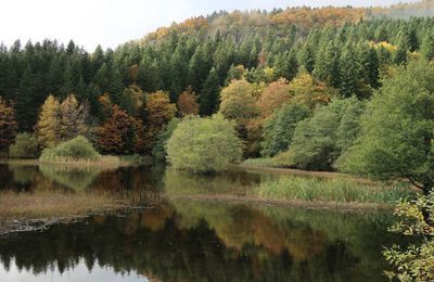 Etang de Vergne Molle