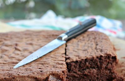 Le gâteau au chocolat 5mn chrono, 20mn de cuisson ! {recette}