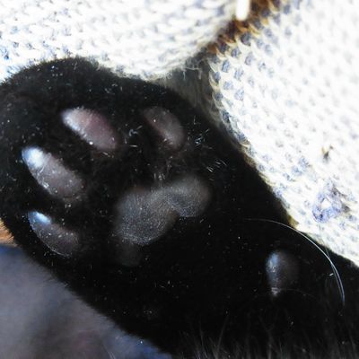 Tle STMG : Rappel sur les techniques de présentation lors de l'expression orale