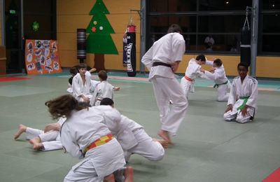 13 NOVEMBRE 2015 - Echange judo/jujitsu SAINT AMOUR/MONTREVEL EN BRESSE/VIRIAT