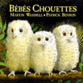 Bébés chouettes