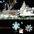 Des joyaux hivernaux qui émergent du manteau neigeux.   .... 