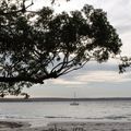 Jervis Bay