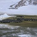 Des nouvelles de l'Antarctique