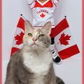 3 à 2 pour le Canada !!