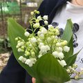 Muguet joli!!