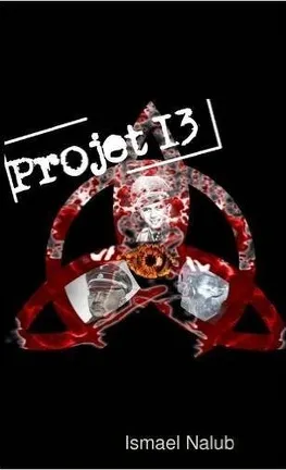 Projet 13 - ismael nalub