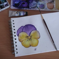 Pensées à l'Aquarelle 1ère partie et comment dessiner une pensée - Pansies in Watercolor and howto drawing a pansy