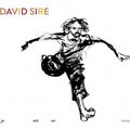 DAVID SIRE - "DEVENIR"