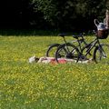 Le coeur n'a pas de rides... 