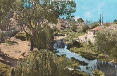 La Nartuby et les canaux d'arrosage 