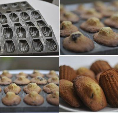 madeleines aux pépites de chocolat
