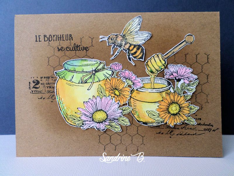 SANDRINE B dt