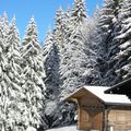 Paysage sous la neige, belle Haute-Savoie....