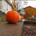 Petit cheval blanc sera à l'accueil pour l'Halloween....