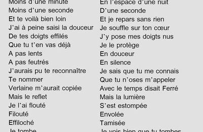 L'Autre reflet de moi-même (Virgibri)