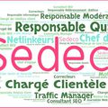 Services chronophages : 3 raisons de les confier à SEDECO !