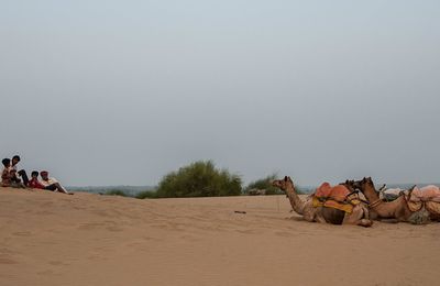 Au creux des dunes...