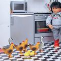 Nirlik - Des poules dans la cuisine !