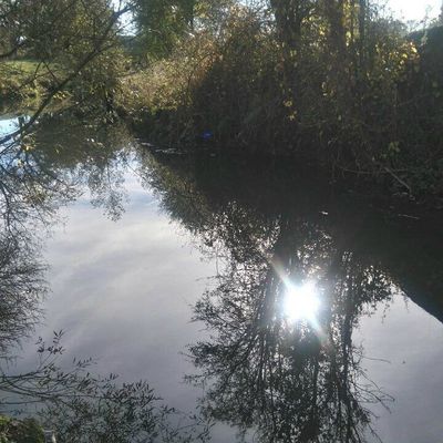 Dernier clin d oeil d une nature sauvage ?