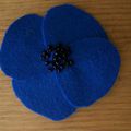 Coquelicot bleu