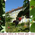 Quartier Drouot - Bonne semaine...