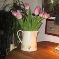 j'aime les tulipes ..........