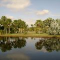 Miami, Fairchild Tropical Garden
