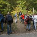 ST NOM LA BRETECHE BOUCLE 15 KM