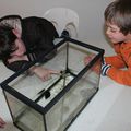 exploitation de l'aquarium... suite