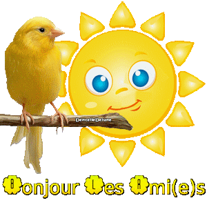 Aujourd'hui, vous allez avoir un petit aperçu de mes talents culinaires.