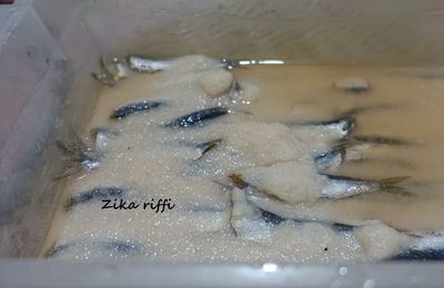CONSERVE D'ANCHOIS AU SEL