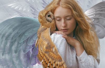 Ailes protectrices