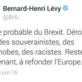 L'expert BHL avait annoncé la "défaite probable du Brexit"