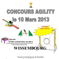 Concours Agility 2013