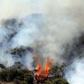 Incendie dans le parc national de l'île de La Réunion