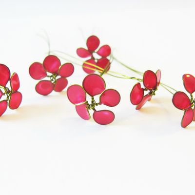 Collection petites fleurs