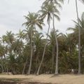 L'Anse Michel, côte Atlantique sud