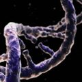 ➡️DR André Gernez la chimio detruit l’ADN de manière irréversible
