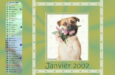 Calendriers Janvier 2007