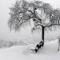 La France sous la neige... on grelote !!