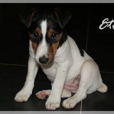 Let me introduce... Etna