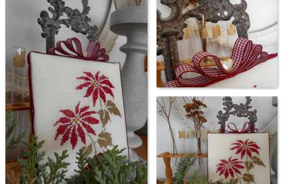Poinsettia
