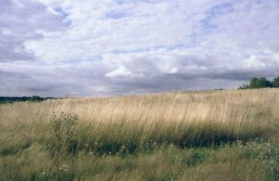 Brèves de lecture : Christian Gailly & Bertrand Redonnet