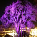 un arbre pour noël