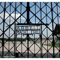 In memorem : 29 avril 1945 - Libération du camp de Dachau